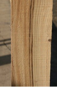 Pęknięcia nie są wielkim problemem w przypadku konstrukcji ale sprawiają, że nie wolno używać takiego drewna do produkcji mebli. Fot. Bartosz Nowacki 