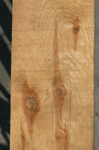 Drewno z sękami może być wykorzystane jako materiał konstrukcyjny