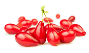 Krzewy owocowe. Owoce jagody Goji. berry&more™