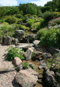 Zbiorniki i cieki wodne w ogrodzie