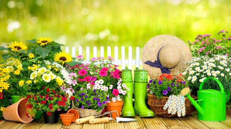 Co warto kupić w sklepie ogrodniczym na wiosnę?